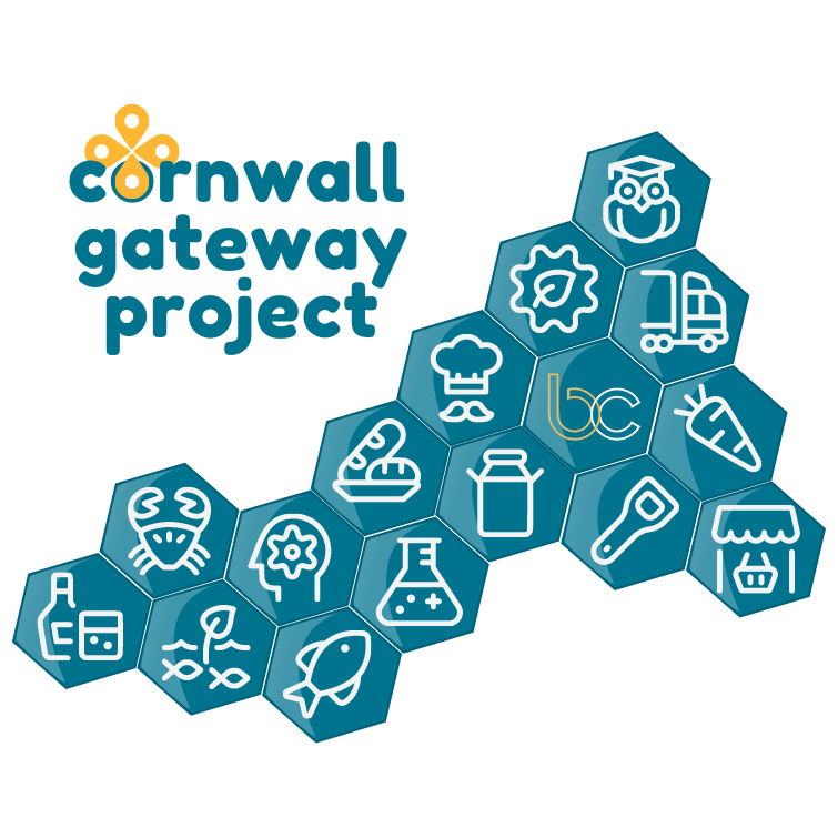 Cornwall Gateway project graphic
